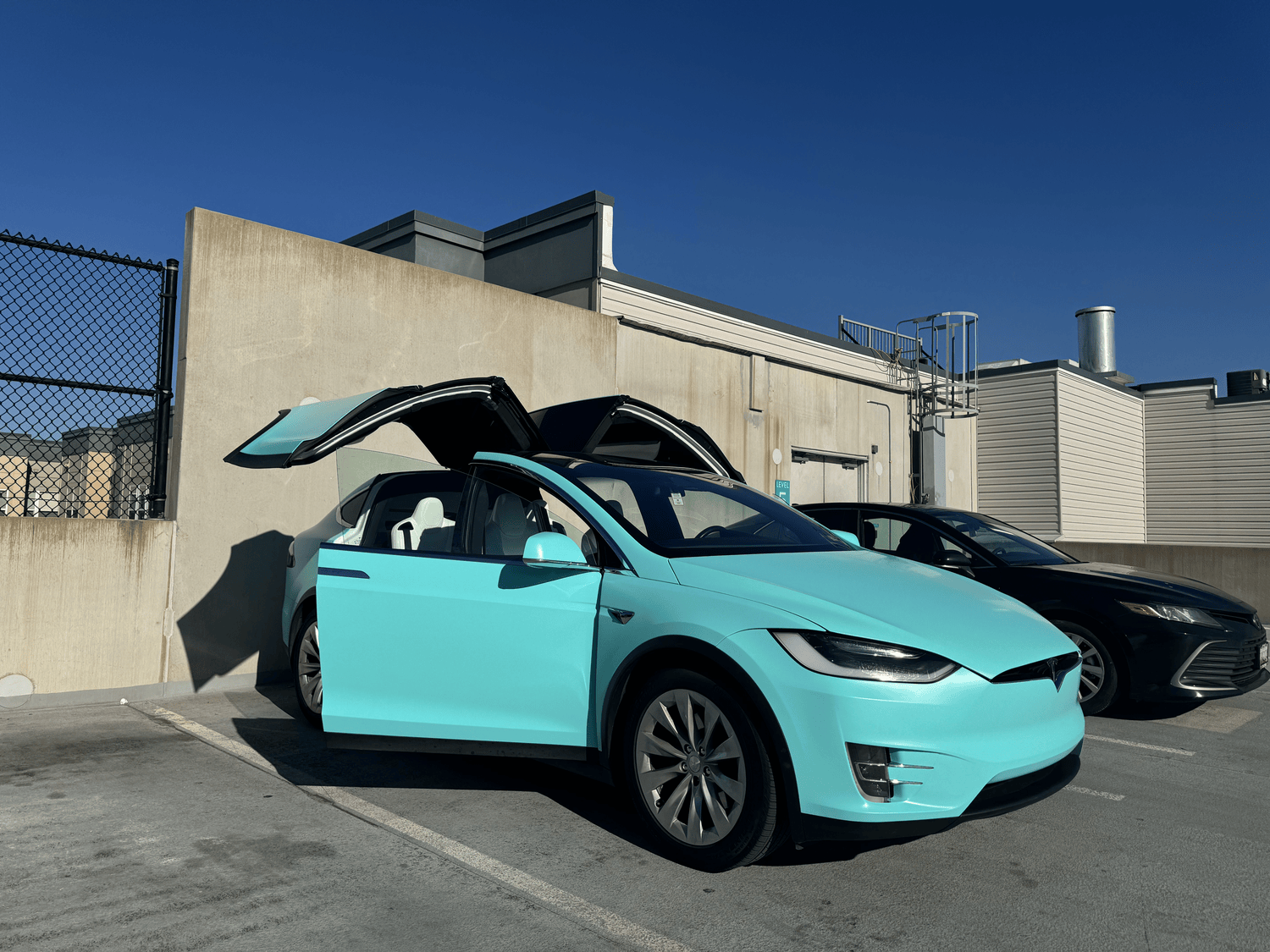 Full body colored PPF Tesla